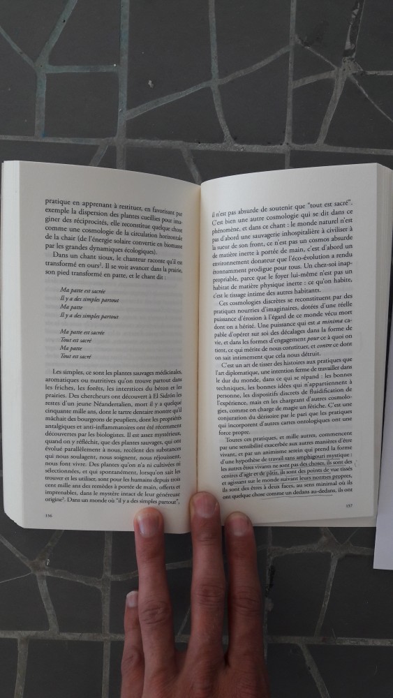 Extrait, Sur la piste animale | 