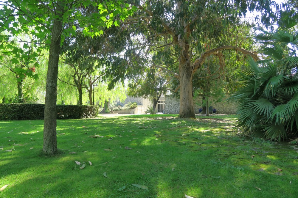 Promenade avec Diane Sorin | Jardin de la Villa Arson, Nice.