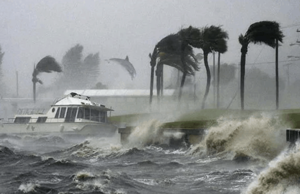 Promenade Gabriel Staëlen | Image : Ouragan Patricia
Promenade avec Gabriel Staëlen
Accompagnée par Barbara Boiocchi
16 septembre 2019, Villa Arson, Nice, Fr