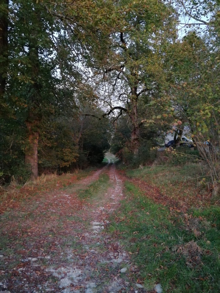 Promenade Inés Pérez 1 | 