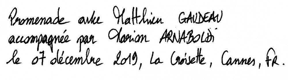 Promenade Matthieu Gaudeau_Contexte | 