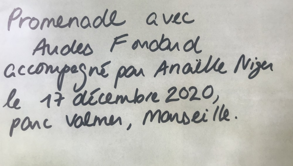 17.12.2020 | 