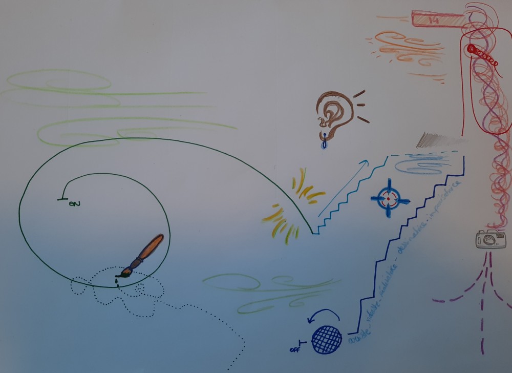 Trajectoire cartographiée Diane Sorin | 